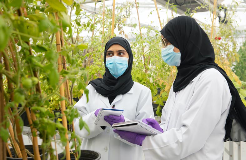 خليفة للتقانات الحيوية.. أيقونة بحثية في دراسة النباتات الصحراوية