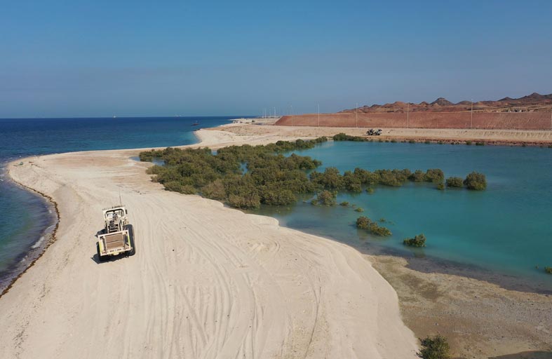 أدنوك .. شراكات استراتيجية تعزز دورها شريكا مثاليا جاذبا للاستثمارات الأجنبية