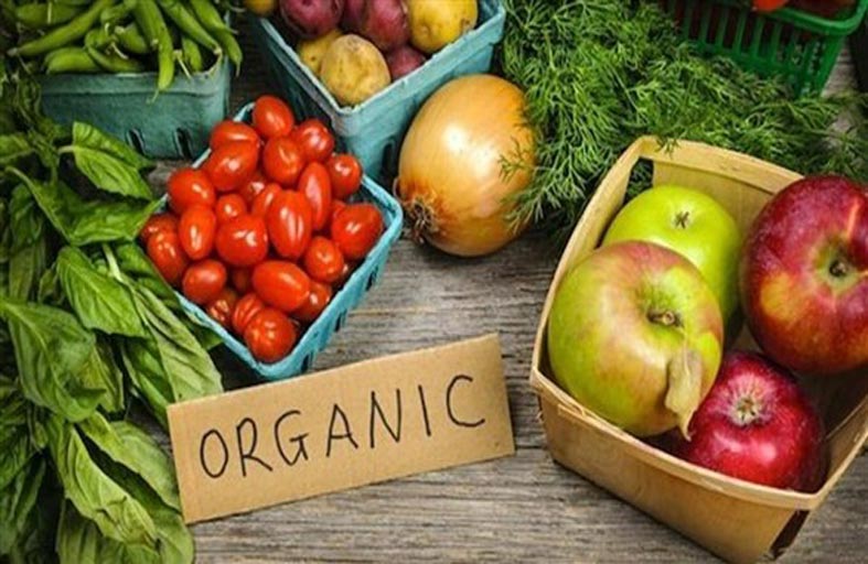 ألمانيا: زيادة الإقبال على المواد الغذائية العضوية