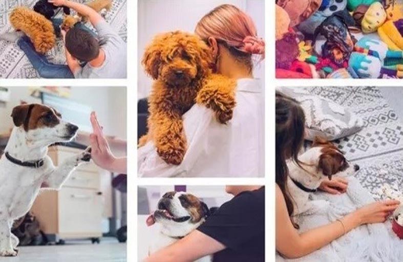 وظيفة تدفع لك 30 ألف دولار مقابل اللعب مع الكلاب