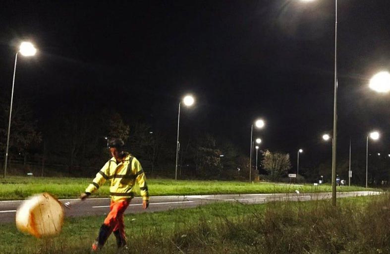 دراسة: الإنارة العامة تساهم في الحد من عدد اليرقات 