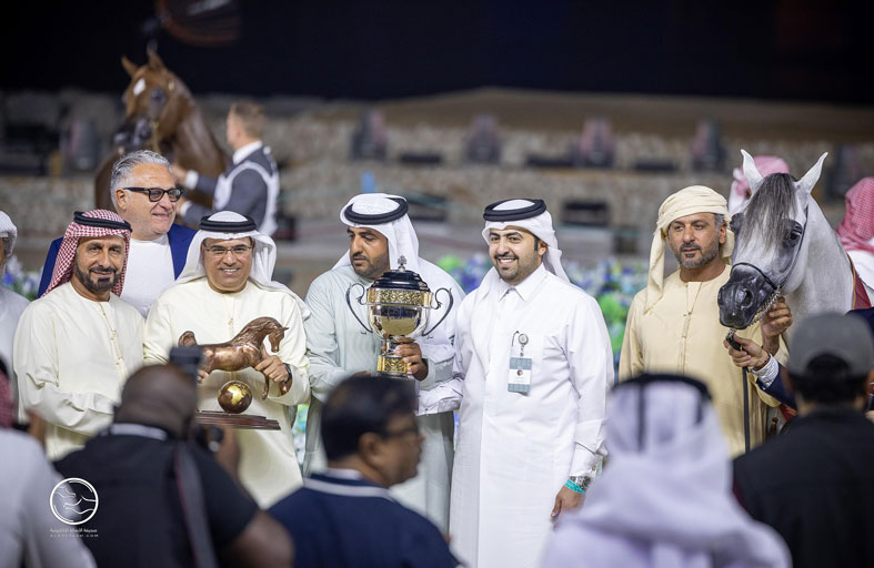 دي شيهانة ودي شهار ملكان في القمة ودي شرار أمير الأفحل