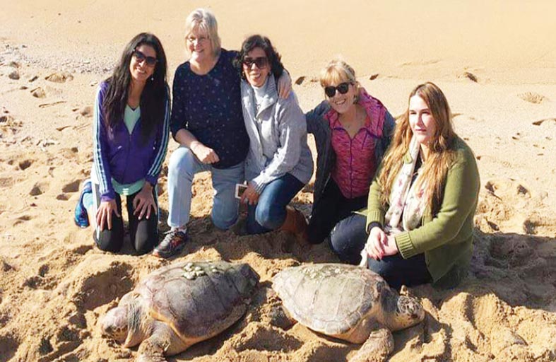 السلاحف البحرية تعاني من تدهور متواصل في معظم أنحاء العالم