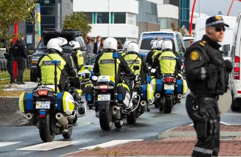 الشرطة تقتل دبا قطبيا شاردا في أيسلندا 