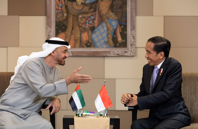 رئيس الدولة والرئيس الإندونيسي يبحثان تعزيز علاقات البلدين والقضايا الإقليمية والدولية 