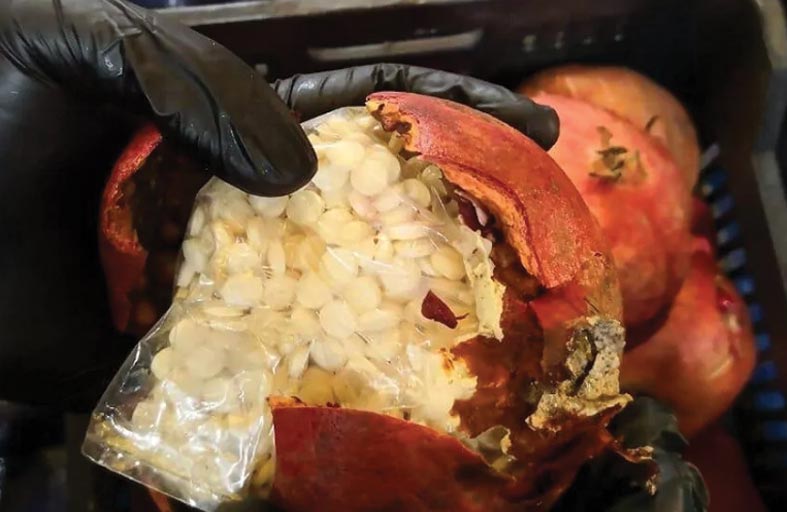 مخدرات داخل شحنة رمان