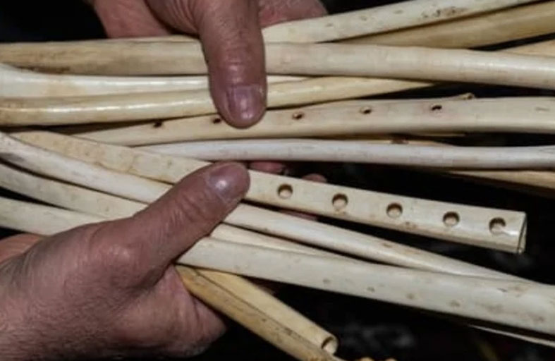 علماء يكتشفون آلات موسيقية صُنعت من عظام بشرية !