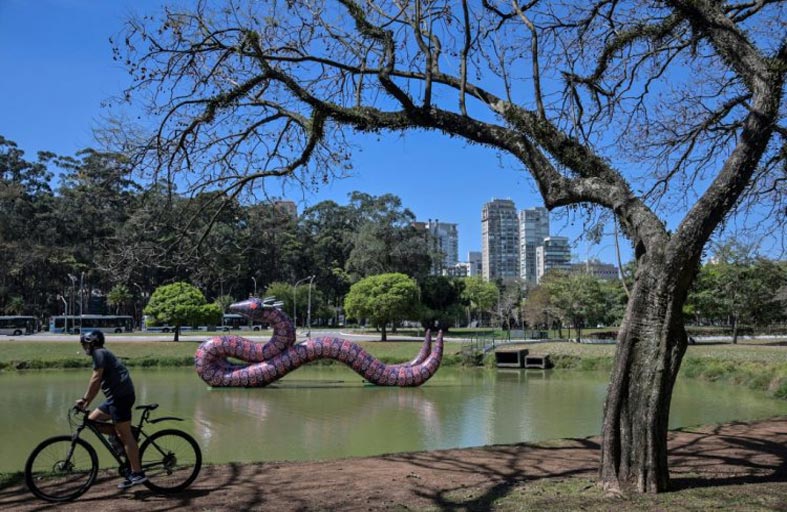  التصدي لليمين المتطرف في قلب بينالي ساو باولو 