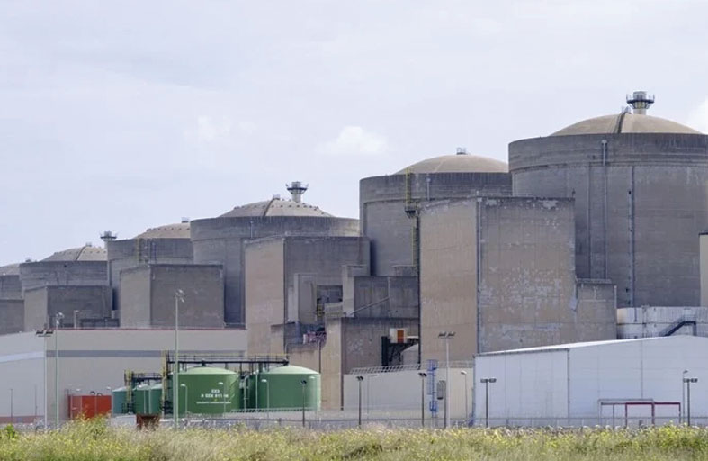 قناديل البحر تشل حركة أكبر محطة للطاقة النووية في فرنسا