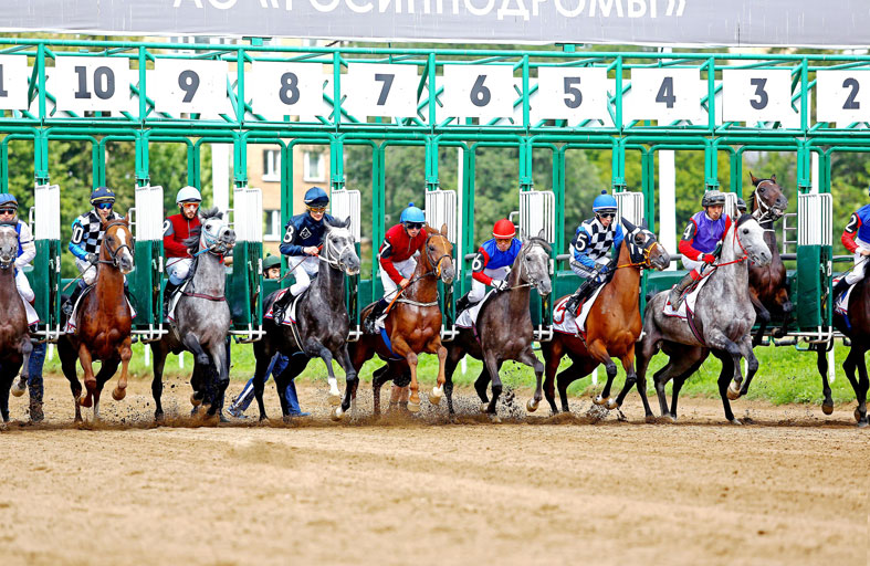 «اكيرلاند» بطلا للجولة الثالثة من كأس رئيس الدولة للخيول العربية الأصيلة بروسيا