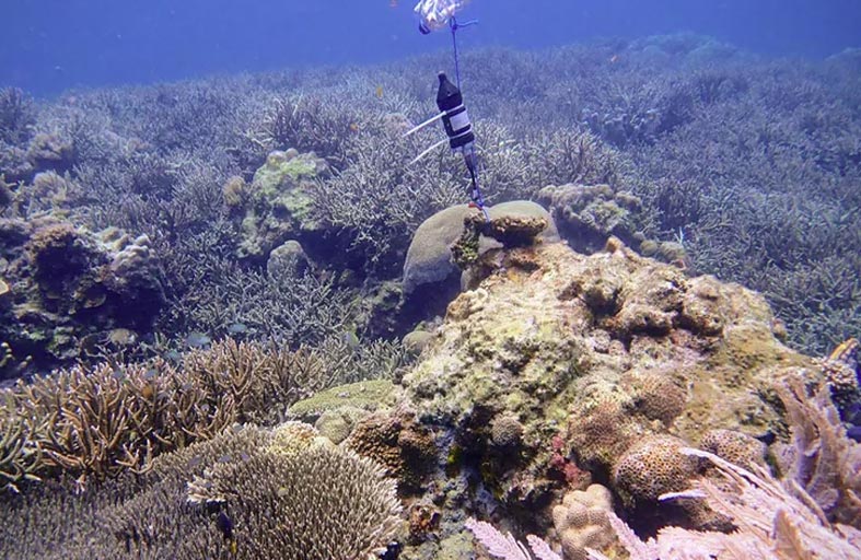 بالذكاء الاصطناعي.. علماء يسمعون ما لا يمكن سماعه