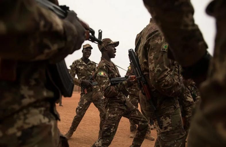  مسؤولة ألمانية تدعو للنظر في إنهاء مهمة الجيش في مالي