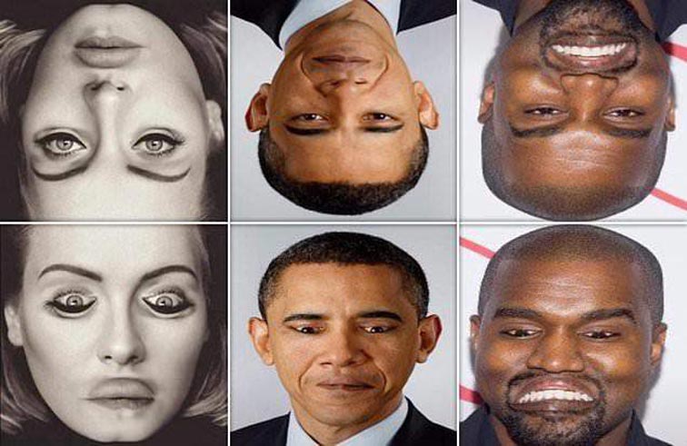 اختبار بصري يثير ضجة على تيك توك