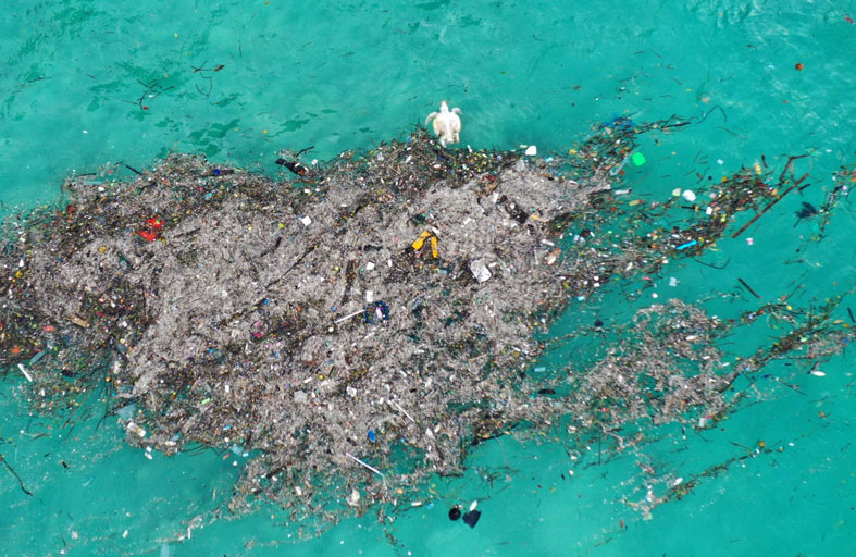  تلوث المحيطات بالبلاستيك أقل من التقديرات 