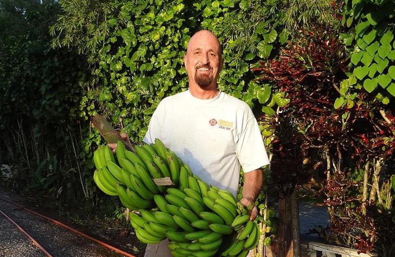 لماذا تناول الموز الأخضر يوميا يمكن أن يقي من الإصابة بالسرطان؟