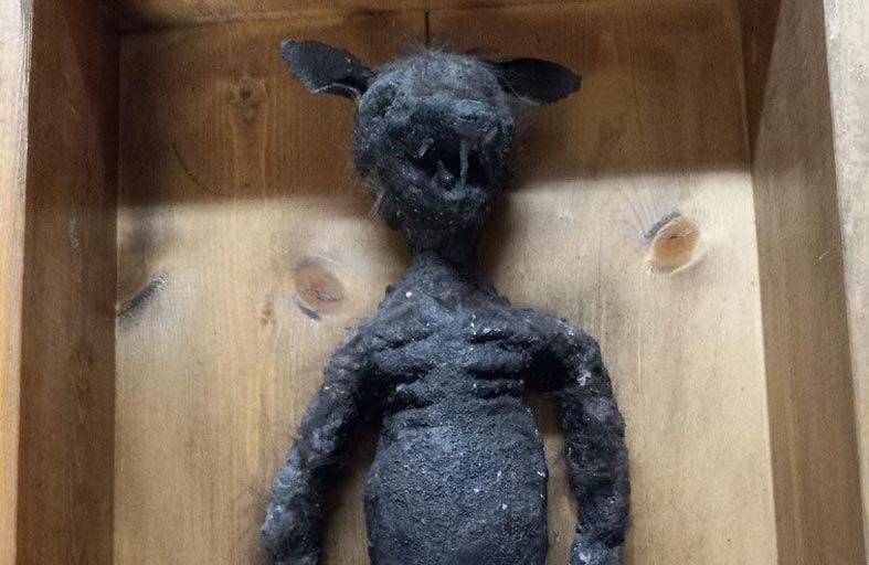 مومياء غامضة تحير الباحثين