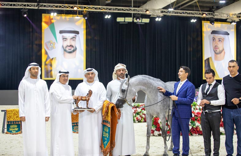 مربط دبي يعيد إنجازه النفيس في بطولة العرب الثانية لمربي الخيل العربية