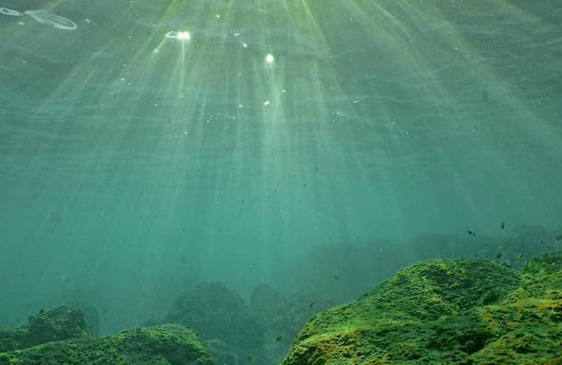 باحثون يرون أن إعادة تأهيل قاع البحر بعد التعدين لا يزال مجرّد «خيال» 