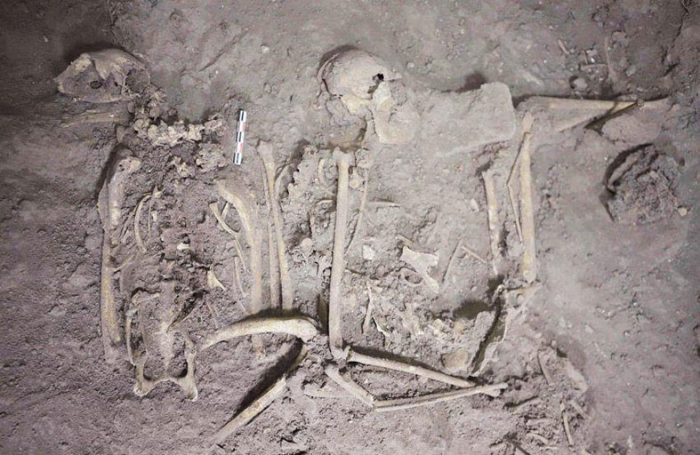 قرد نادر دفن حيا.. اكتشاف أثري صادم