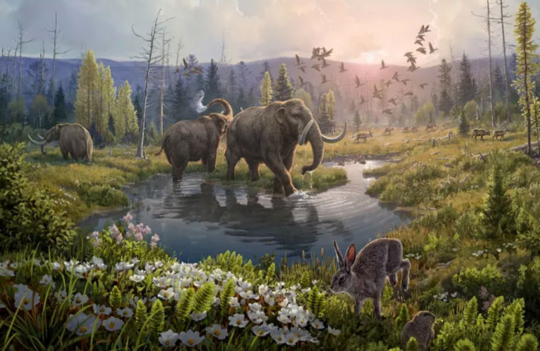 أقدم حمض نووي يكشف مفاجآت عالم غرينلاند المفقود