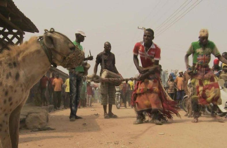 رجال الضباع .. قصة علاقة مع أشرس حيوان