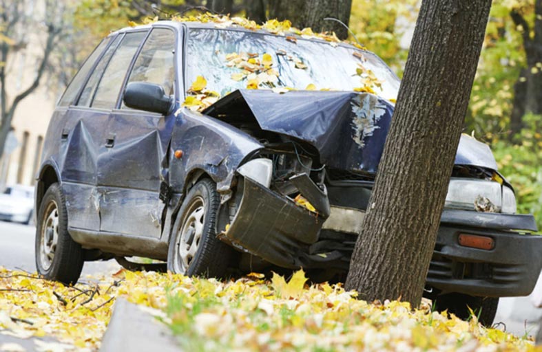 اصطدمت السيارة بالشجرة.. والنتيجة 5 قتلى