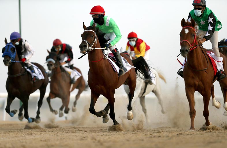 مطايا «عيد المنصوري» تتقدم الإبل المشاركة وتحصد المركز الأول