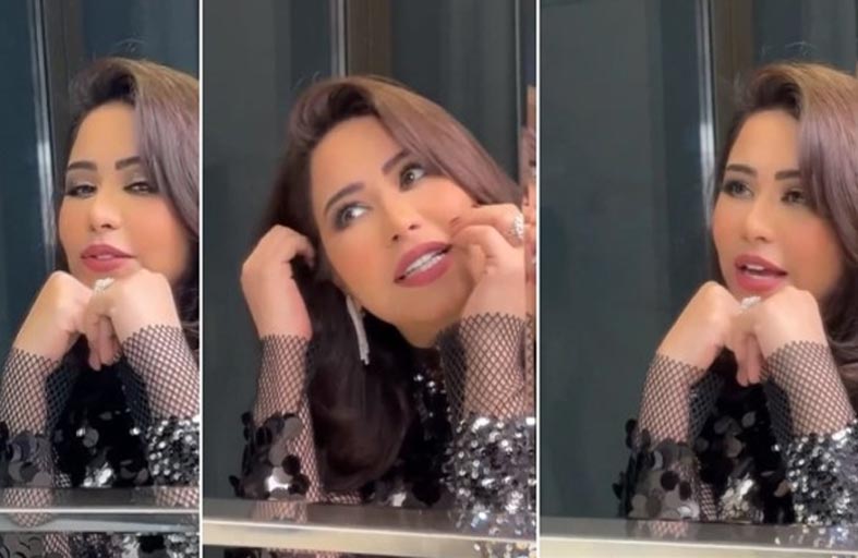 شيرين عبد الوهاب تعتذر للجمهور اللبناني