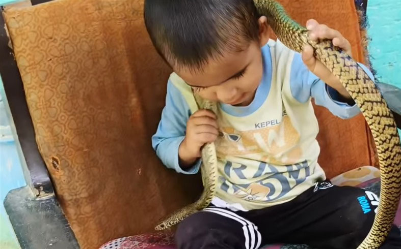 ثعبان يلتف حول رقبة طفل 