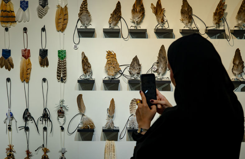 الصقارة الإماراتية تتألق عبر التقاليد والزمن