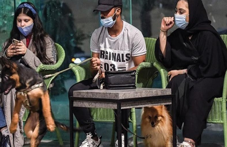 إيران تغلق «مقهى الكلاب» المثير للجدل