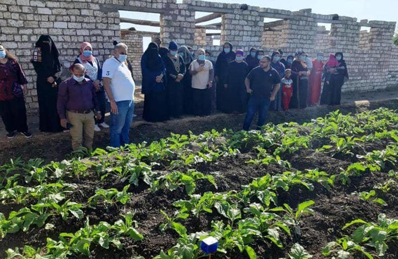 أول جهازين للري الذّكي عبر الهاتف في مصر