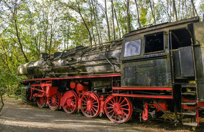 محطة القطارات المنسية في برلين.. 57 نوعا من العناكب