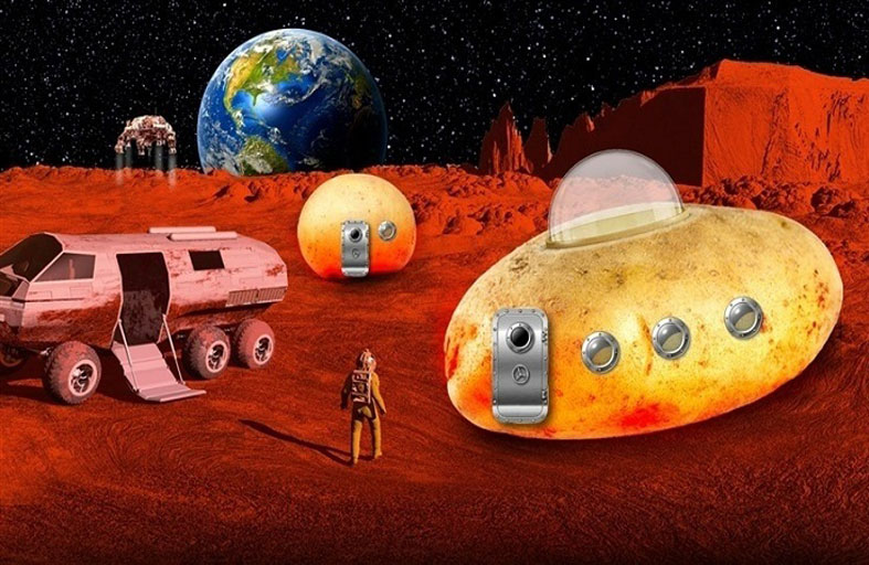 منازل من البطاطس تتيح الحياة في المريخ