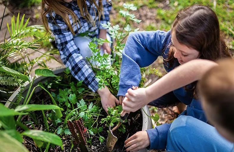 يبعد أطفاله عن الشاشات بنشاطات بيئية ممتعة