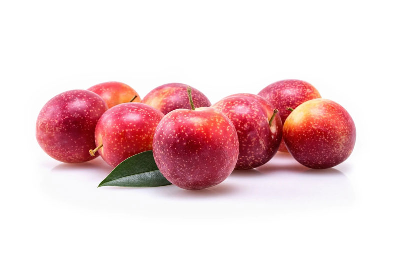 البرقوق يثبت فعاليته في درء خطر هشاشة العظام