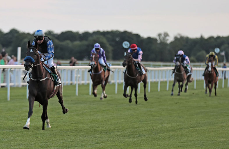 كأس فاطمة بنت مبارك للخيول العربية تنطلق اليوم في بريطانيا