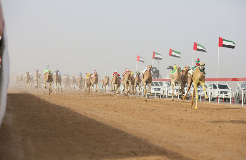 «الشبابية» تحسم الجولة الأولى للحقايق والثانية  لـ «مروض» و «الفاتن» يحقق أفضل زمن