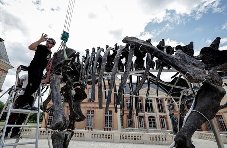 «هيكل عظمي» لديناصور مقابل 6 ملايين دولار