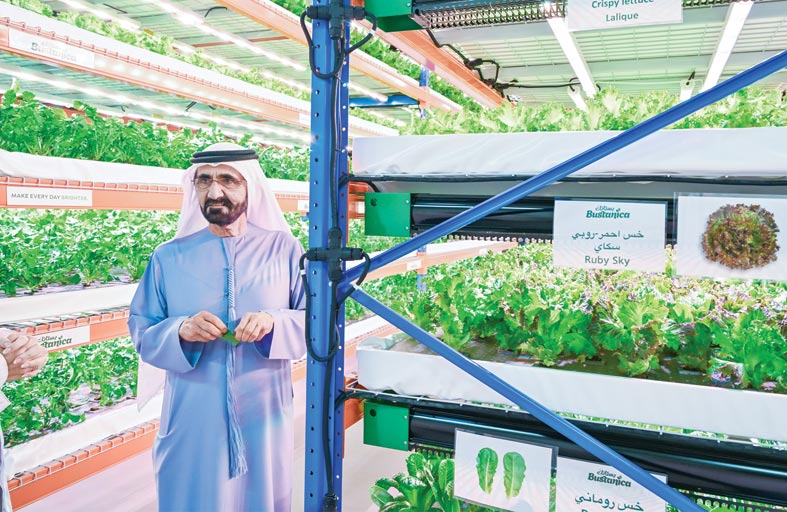 محمد بن راشد: الأمن الغذائي والاكتفاء الذاتي من احتياجاتنا الغذائية واستدامة مواردها أولويات استراتيجية ثابتة لدولة الإمارات
