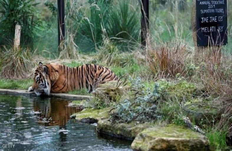 ضربة مؤلمة لأقدم حديقة حيوان بالعالم