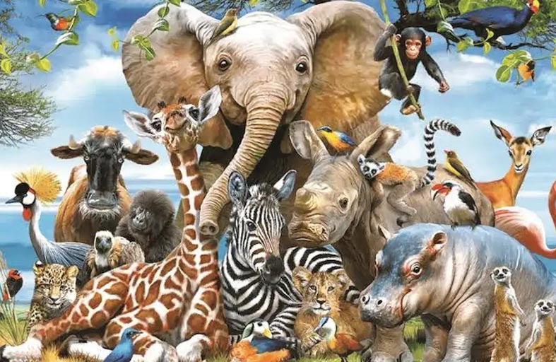 أي الحيوانات يمكنها إنجاب أكبر عدد من الصغار دفعة واحدة؟