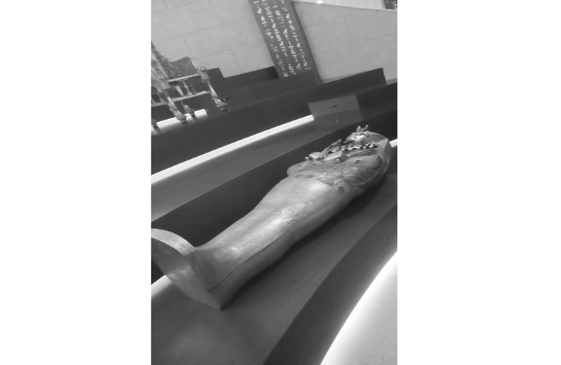 زوار الجناح المصري في أكسبو 2020 يشيدون بالتصميم والمقتنيات وحسن الضيافة