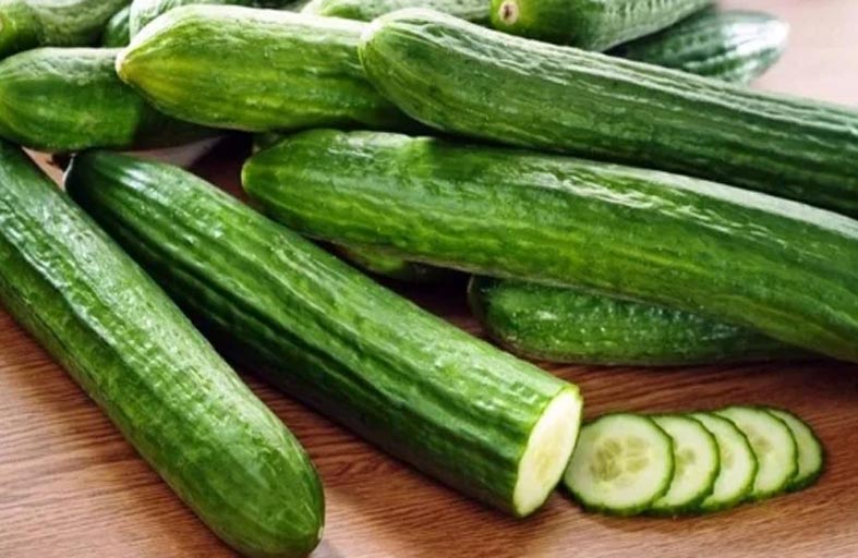 تحذير.. أفعى في منزلك إذا شممت رائحة الخيار