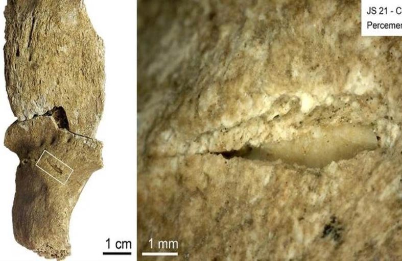 مقبرة تكشف أسرار الحروب في السودان قبل 13400 سنة