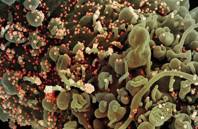 «مو».. هذا ما نعرفه عن أحدث نسخ كورونا