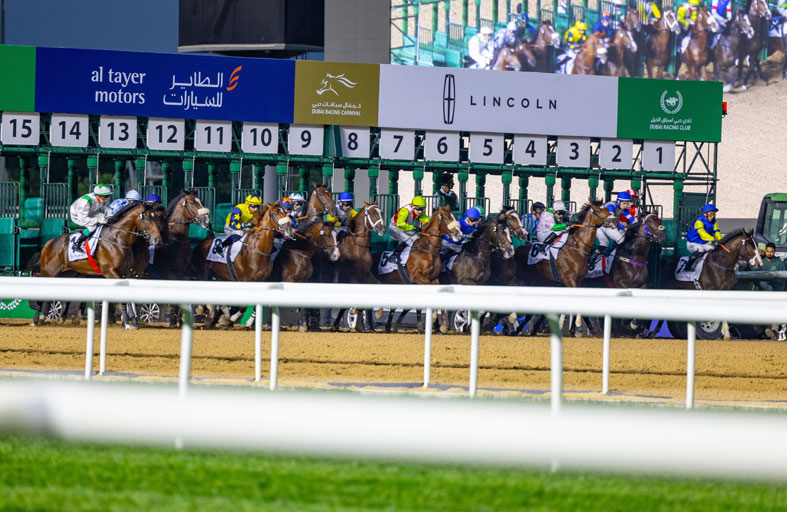 127 خيلاً تتنافس اليوم في الأمسية الحادية عشرة على مضمار «ميدان»