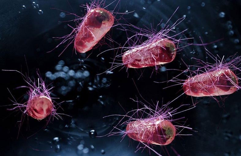 علماء بريطانيون يطورون سلالة بكتيرية جديدة معدلة جذريا