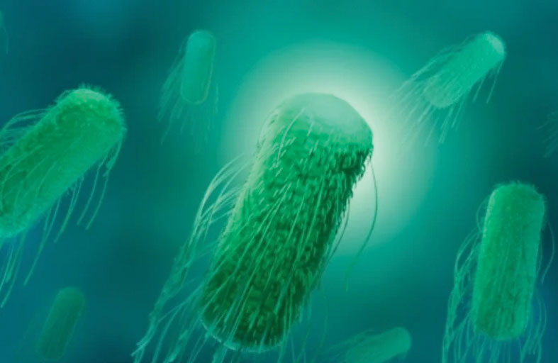 تسمم 500 شخص بمهرجان إسباني