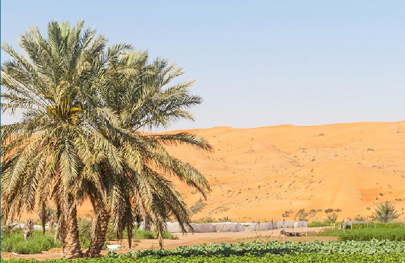 بلدية مدينة أبوظبي تنفذ حملة لتوعية أصحاب العزب والمزارع لتجنب الرمي العشوائي للنفايات
